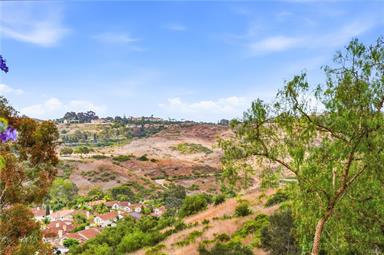 29 Fleurance Street, Laguna Niguel, CA 92677