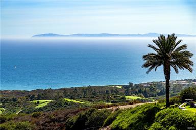 23 Pelican Vista, Newport Coast, CA 92657